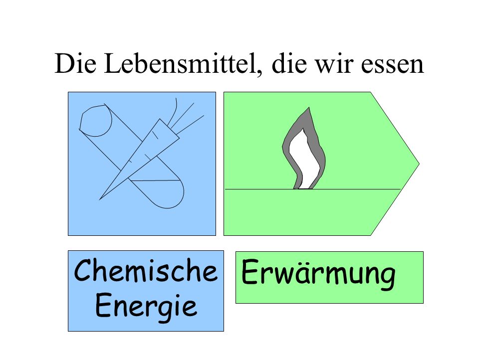 Die Rezepte aus dem Sellerie für die Potenz